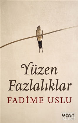 Yüzen Fazlalıklar